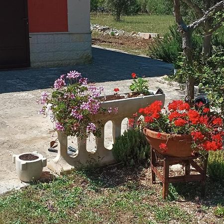 Casa Alle Vigne Полиньяно-а-Маре Экстерьер фото