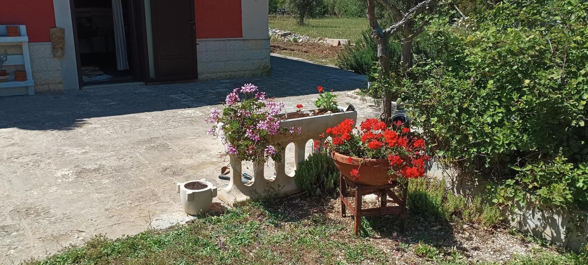Casa Alle Vigne Полиньяно-а-Маре Экстерьер фото