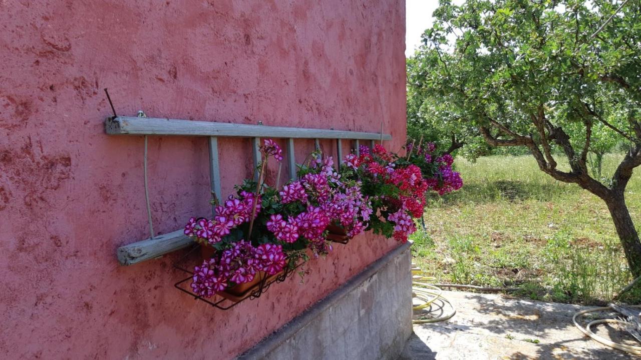 Casa Alle Vigne Полиньяно-а-Маре Экстерьер фото